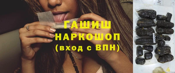 индика Алзамай