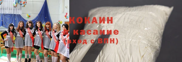 соль ск Алексин