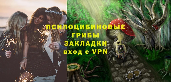 индика Алзамай