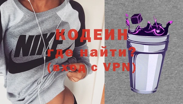 индика Алзамай