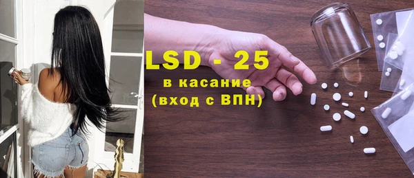 индика Алзамай