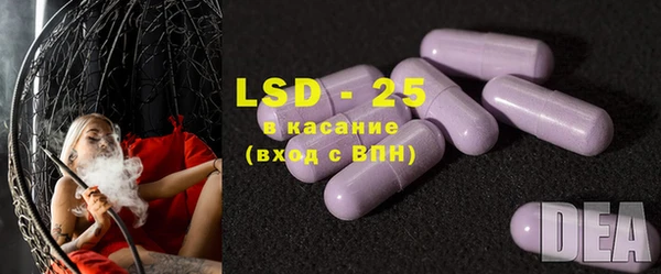 индика Алзамай