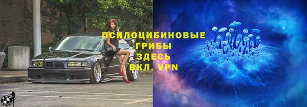 стафф Алексеевка