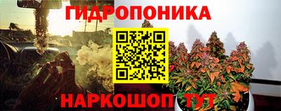 дживик Гусь-Хрустальный
