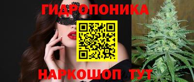 дживик Гусь-Хрустальный
