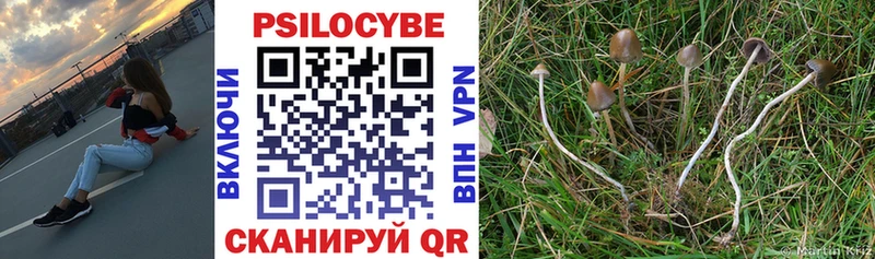 как найти закладки Ставрополь Псилоцибиновые грибы Psilocybine cubensis
