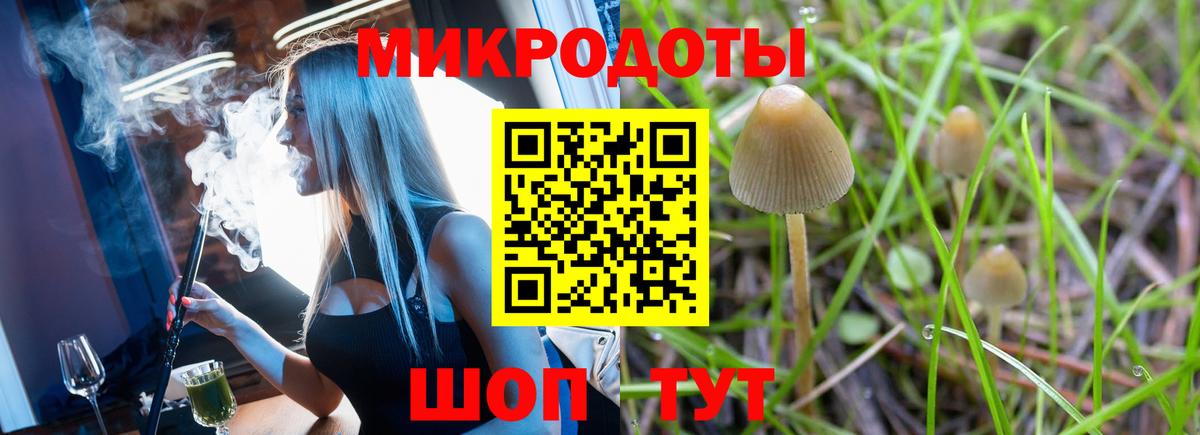 Ставрополь  Псилоцибиновые грибы прущие грибы  что такое наркотик  Вход с VPN 