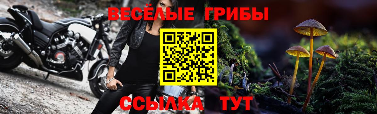 Псилоцибиновые грибы мухоморы Ставрополь